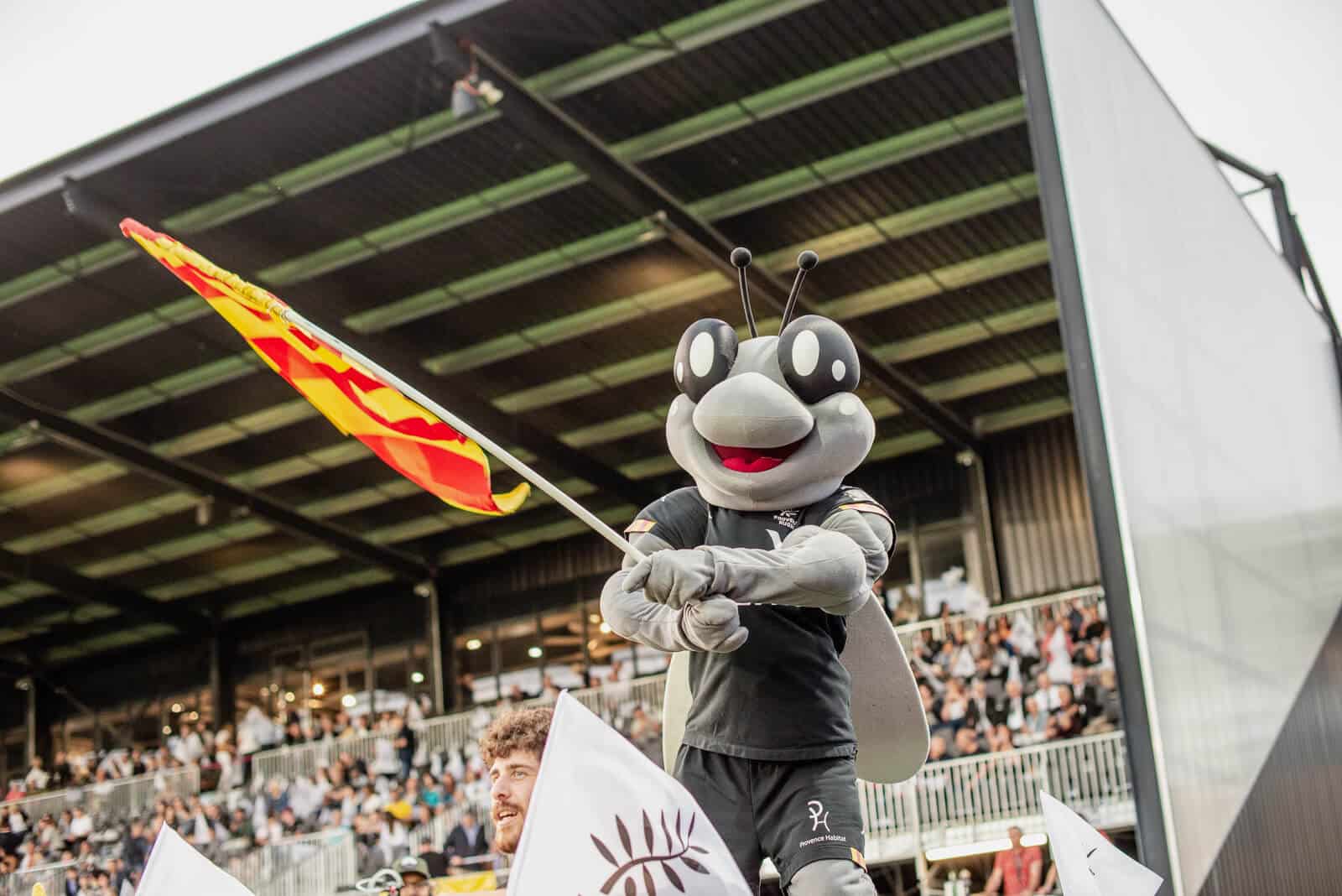 Mascotte Provence Rugby